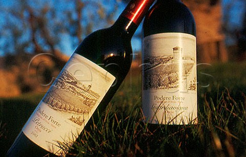 Bottles of Podere Forte Petrucci and Guardiavigna wine Castiglione dOrcia Tuscany Italy    Val di Cornia