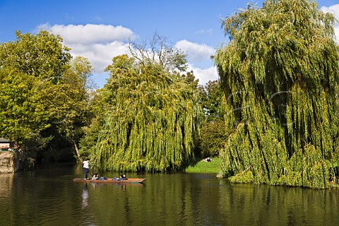 Punting on the river Cam Cambridge England