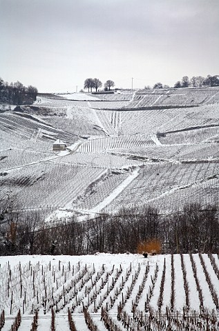 Snow covered Clos Bacchus vineyard below village of MentruleVignoble Jura France ChteauChalon  Vin Jaune