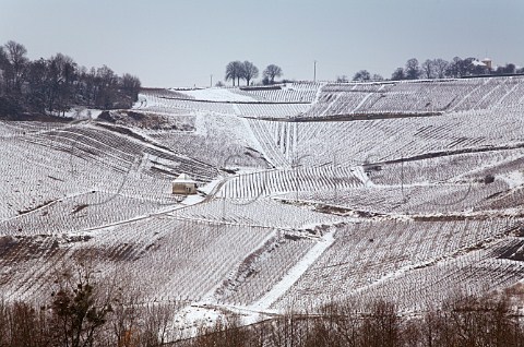 Snow covered Clos Bacchus vineyard below village of MentruleVignoble Jura France ChteauChalon  Vin Jaune