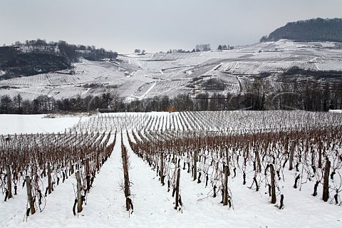 Snow covered vineyards below village of MentruleVignoble viewed from those below ChteauChalon Jura France ChteauChalon  Vin Jaune