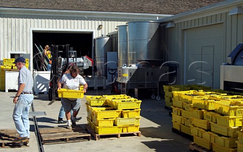 Crates of harvested grapes arriving at winery of Bedell Cellars Cutchogue Long Island New York USA North Fork AVA