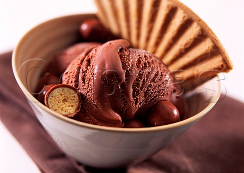 A bowl of double chocolate icecream with wafer