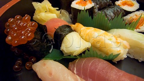 Japanese Nigiri Sushi