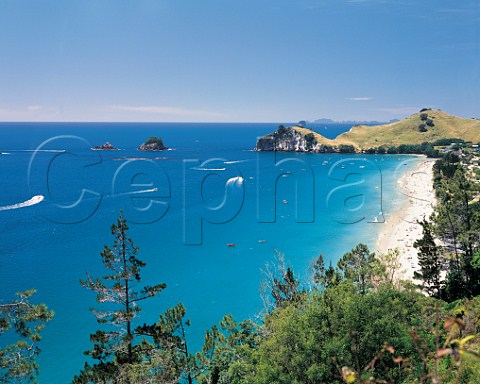 Clear turquoise water at Hahei Beach Coromandel Peninsula North Island New Zealand