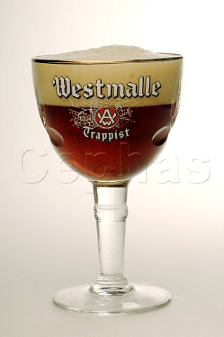 Glass of Westmalle Trappist beer
