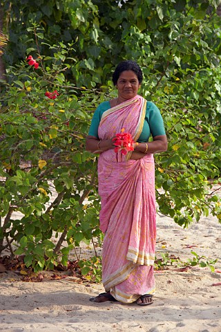 Indian woman picking hibiscus flowers on the beach at Kattoor Kalavoor Alappuzha Alleppey Kerala India