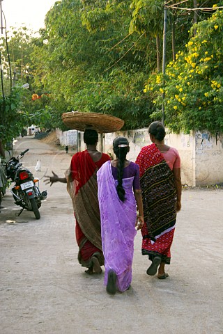 Indian women walking down the street carrying produce in basket on head Chennai MadrasTamil Nadu India