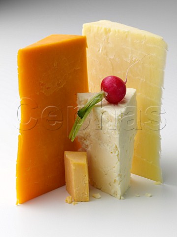 English Cheese