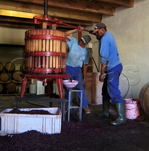 Workers pressing grapes at Post House Winery Helderberg Cape Province South Africa Stellenbosch