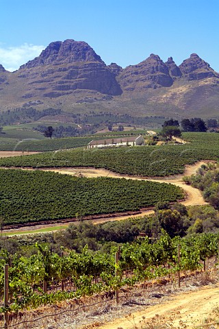 Ernie Els winery and vineyards below the Helderberg Mountain Stellenbosch  Cape Province South Africa