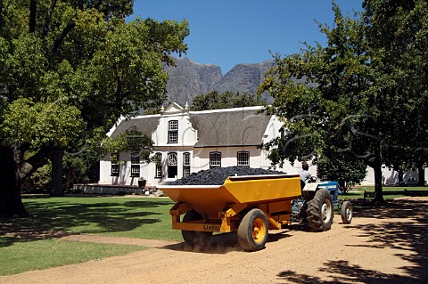 Tractor with trailer of harvested grapes passing the Cape Dutch manor house of Boschendal Estate Franschhoek Cape Province South Africa Paarl
