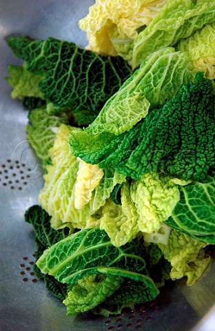Cabbage leaves in a colander