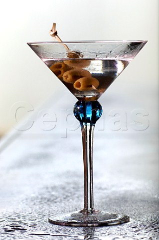 Dry martini in a cocktail glass
