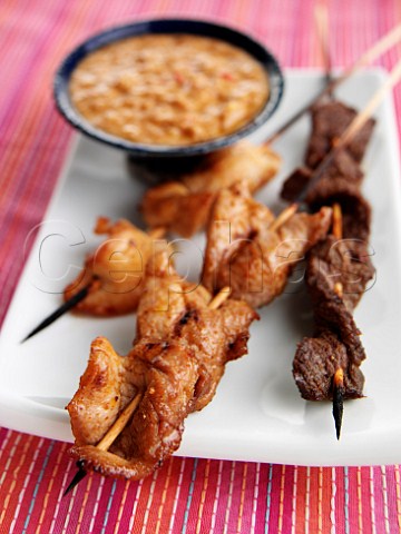 Satay Beef Chicken and Pork Skewers