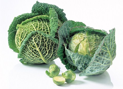 Two types of cabbage and brussel sprouts