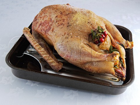 Roast goose in a roasting tray
