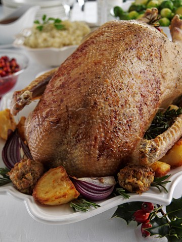 Christmas Roast Goose with sprouts jerusalem artichoke pure and vegetables