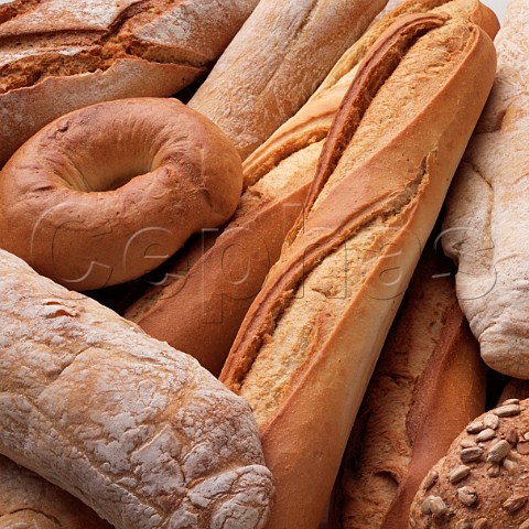 French bread rolls and baguettes