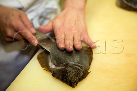 Filleting a plaice for sashimi in a Japanese restaurant