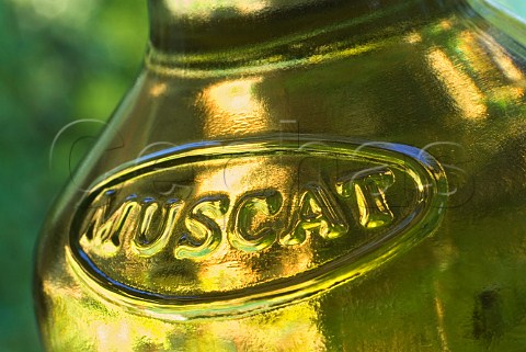 Closeup on a bottle of Muscat de Rivesaltes fortified sweet white wine