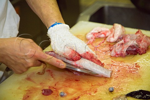 Preparing a Fugu blowfish for sashimi in a Japanese restaurant