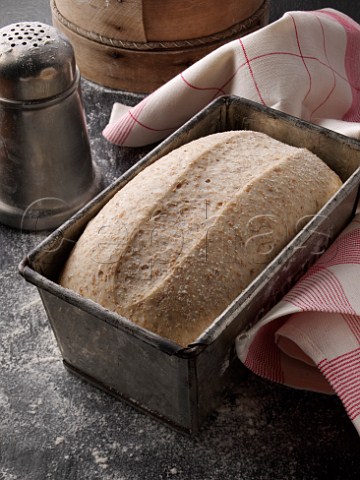 Bread dough Proving