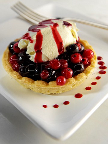 Red and blackcurrant tart with icecream