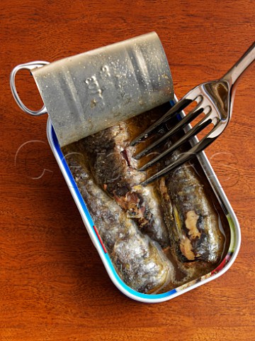 Opened tin of sardines in oil
