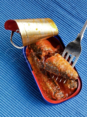 Opened tin of sardines in tomato sauce