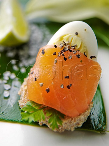 Smoked salmon with boiled egg canaps