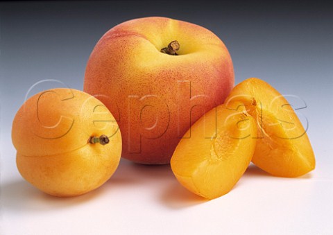 Peach with apricots