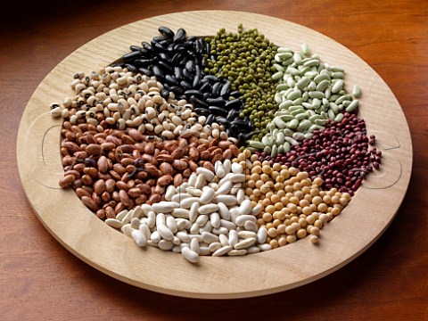 Different types of beans in a pattern