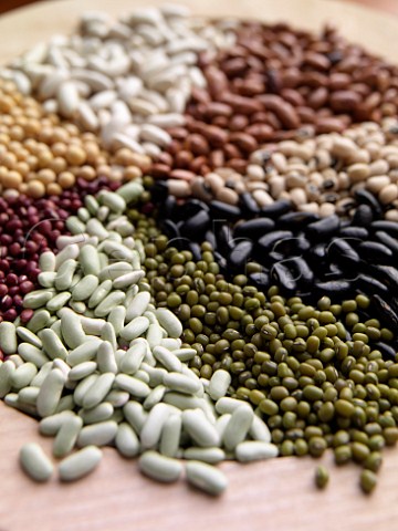 Different types of beans in a pattern