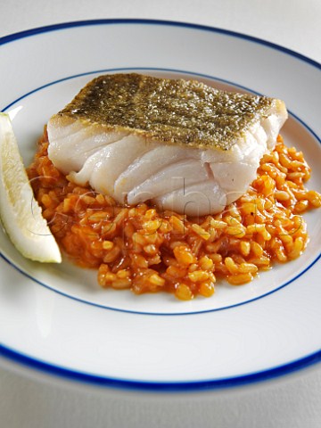 Pan fried cod risotto