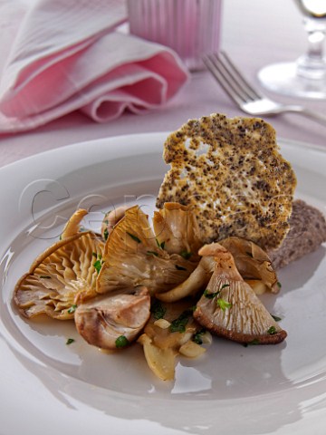 Mushrooms wafer and quenelle of mushroom pat