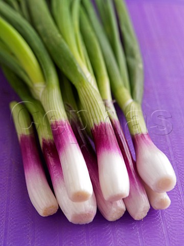 Red banded spring onions