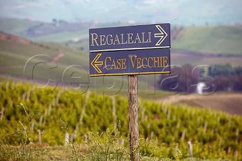 Vineyards of Regaleali  Tasca dAlmerita winery Vallelunga Pratameno Sicily Italy