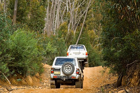 Fourwheel drive on fire trail Deua National Park New South Wales Australia