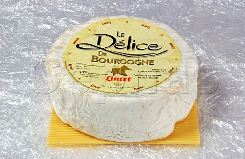 Le Dlice de Bourgogne cheese France