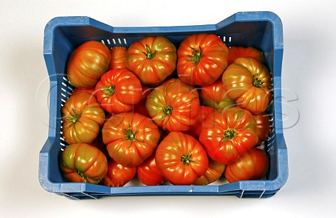 Box of Delizia tomatoes