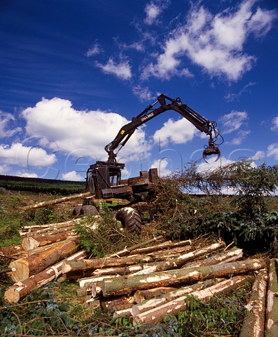 Timber processing machine in the Forest of Ae Dumfries and Galloway Scotland