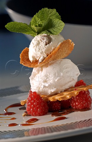 Walnut icecream vanilla icecream and soft fruit dessert