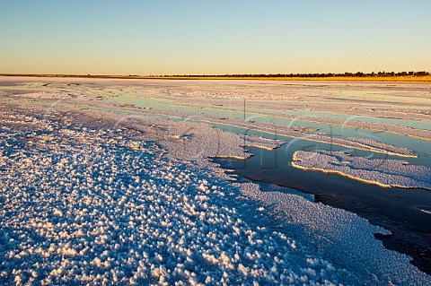 Salt Lake at sunrise on the Canning Stock Route Western Australia
