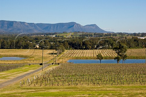 Winter view from Allandale WInery Lower Hunter Valley New South Wales Australia