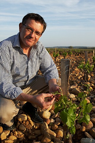 Franois Perrin in Grenache vineyard of Chteau de Beaucastel Courthzon Vaucluse France ChteauneufduPape