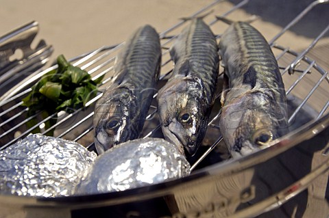 Cooking mackerel and baked potatoes on a barbecue