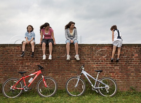 Family group two sisters and two brothers sitting on wall above two mountain bikes