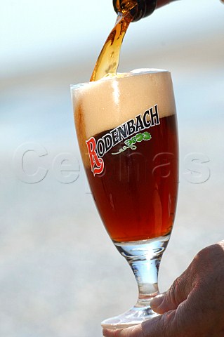 Pouring glass of Rodenbach beer