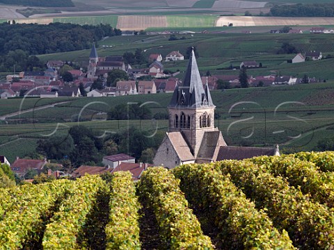 Vineyard above the church of VilleDommange with village of Sacy beyond to the southwest of Reims Marne France Champagne